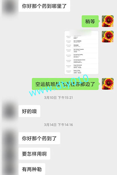 新加坡Singapore哪里有卖打胎药（流产药）微信聊天记录截图